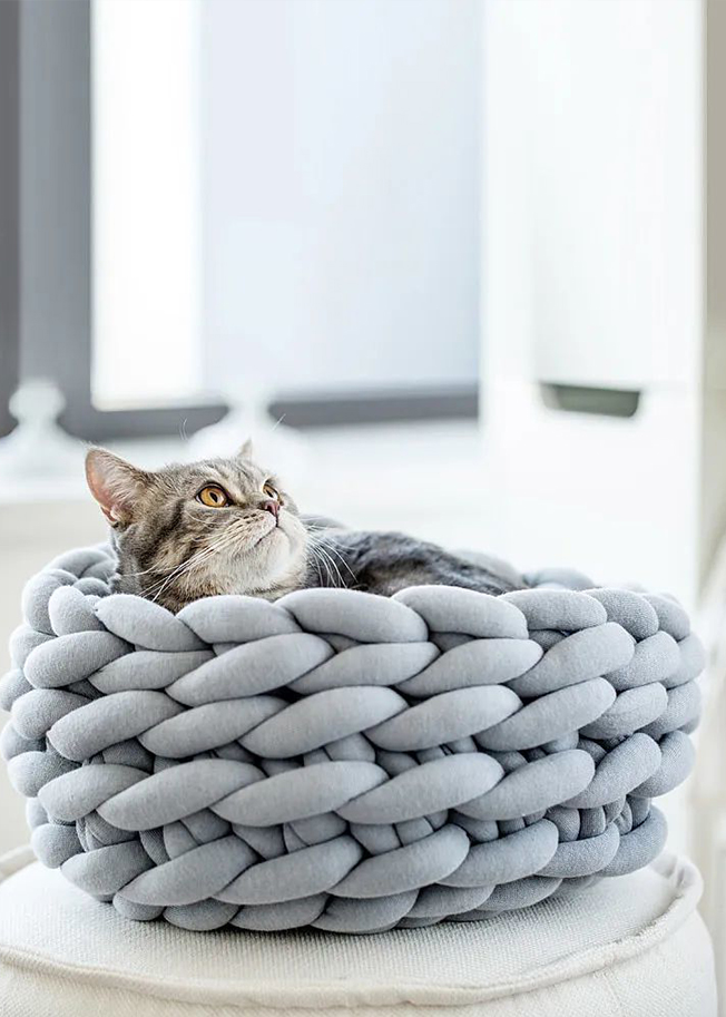 Wholesale Pet Furniture For Every Home: Affordable And Stylish Options