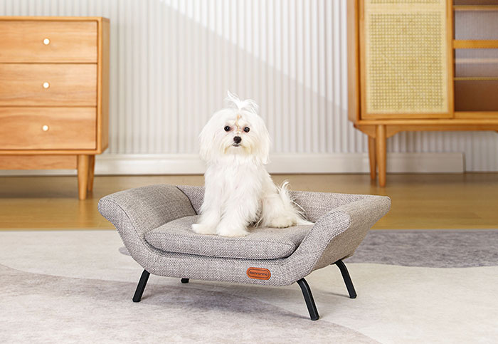 Trends In China Pet Furniture Design